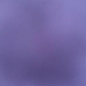 Meet your Posher, Lillie